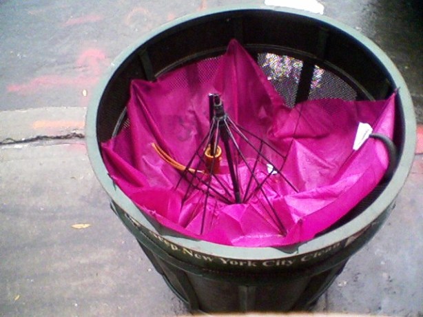 Beauty in Destruction