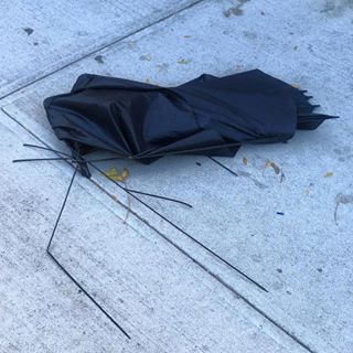 44826344_195770741303583_6741914205662546604_n.jpg?_nc_ht=scontent-ort2-1.cdninstagram.com&ig_cache_key=MTkxNTM5MTg4ODAyODc4ODk1MQ==.2-w320h320