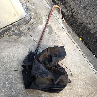 52043275_352734008906755_3786390118301380950_n.jpg?_nc_ht=scontent-lga3-1.cdninstagram.com&se=7&ig_cache_key=MTk4NzA2Njk3MzcyMjEzNzQyMQ==.2-w320h320