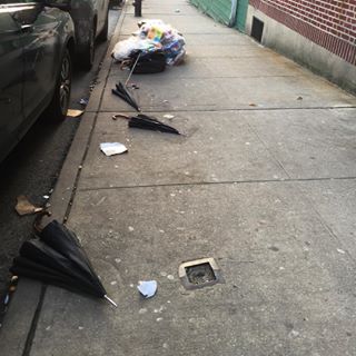 51645324_365796904018670_2891202474757550129_n.jpg?_nc_ht=scontent-lga3-1.cdninstagram.com&se=7&ig_cache_key=MTk4NzA2ODMwODI0MDUwMjY4Mg==.2-w320h320