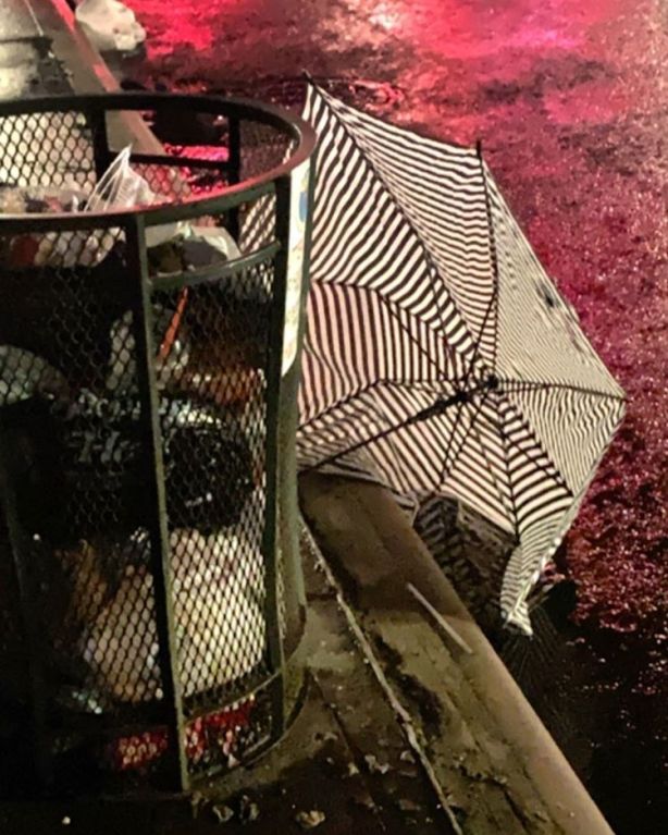 57472020_314093922598059_2326507063680953609_n.jpg?_nc_ht=scontent-lga3-1.cdninstagram.com&ig_cache_key=MjAyODA1NzAzMjU0NTU0MDgwMw==.2-w750h937