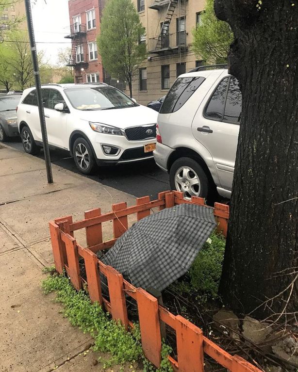 56819252_386094958648827_1313535322323784390_n.jpg?_nc_ht=scontent-lga3-1.cdninstagram.com&ig_cache_key=MjAzMDg2NDQ2MDE4MTk1MDYwMA==.2-w750h937