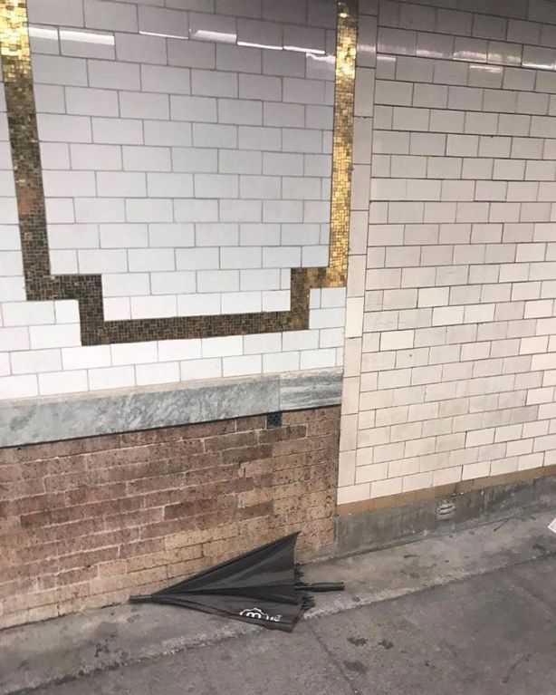 57592815_2241706836093273_5098706996402803914_n.jpg?_nc_ht=scontent-lga3-1.cdninstagram.com&ig_cache_key=MjAzMDg2NjU2NjE1MDQxNzM2NA==.2-w750h937