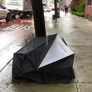 59705815_2685625324799284_4954762298650753318_n.jpg?_nc_ht=scontent-lga3-1.cdninstagram.com&se=7&ig_cache_key=MjA0MzI0ODA4MjMxMDY0NzcxOA==.2-w320h320