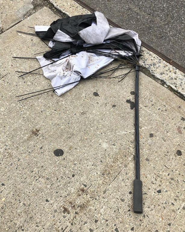 58933521_2404111723146026_6499415050683441832_n.jpg?_nc_ht=scontent-ort2-1.cdninstagram.com&ig_cache_key=MjAzNDIyMzcwMjc4MzkxOTIwOA==.2-w750h937