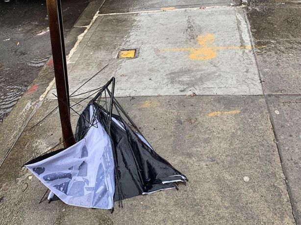 60181680_2374836092747686_1584511106924428862_n.jpg?_nc_ht=scontent-ort2-1.cdninstagram.com&ig_cache_key=MjA0MjQzODc2MzA5MjQwOTI1OQ==.2-w750h562