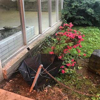 59955399_1169420006572917_3988985843638538554_n.jpg?_nc_ht=scontent-lga3-1.cdninstagram.com&se=7&ig_cache_key=MjA0MzI0NjAzMDAzNzQ3Mzg4Mw==.2-w320h320