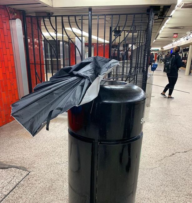 71231983_3140849572653880_601224594410110698_n.jpg?_nc_ht=scontent-lga3-1.cdninstagram.com&_nc_cat=104&ig_cache_key=MjE1NjMzMDc4MzI3Nzc5ODcwNA==.2-w750h792